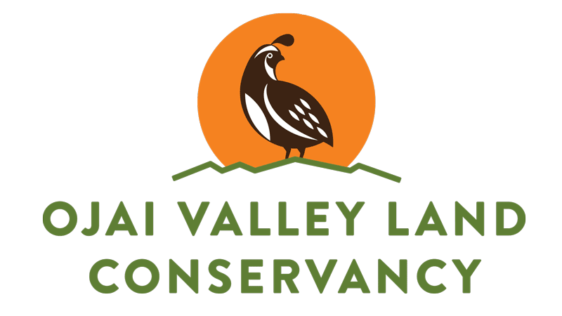 Logo of Ojai Valley Land Conservancy