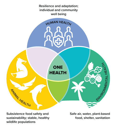 One Health