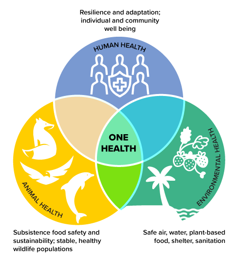 one health graphic