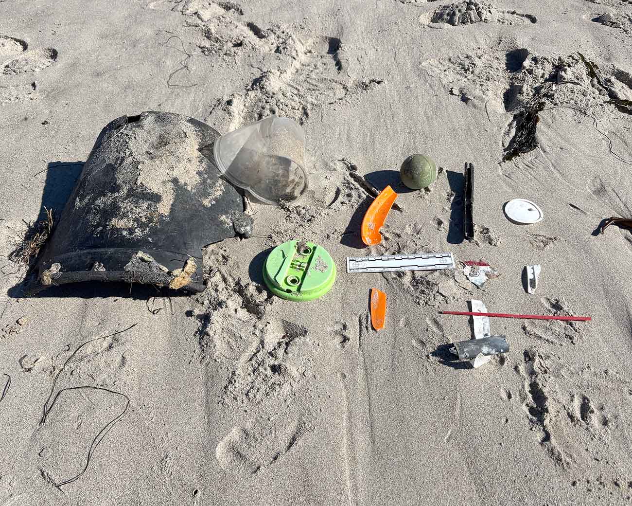Image of marine debris found in one transect.