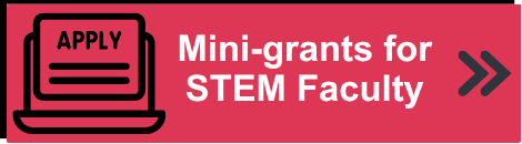 mini grants button